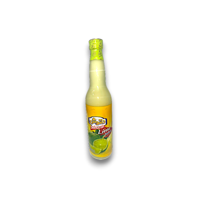 Iranian Lime Juice Delnoosh 410grx20